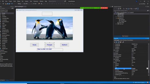 Visual Basic programming, display animals when buttons are clicks смотреть онлайн