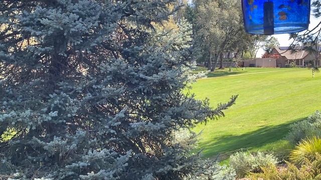 Distinctive well-known home in Lake of the Pines смотреть онлайн