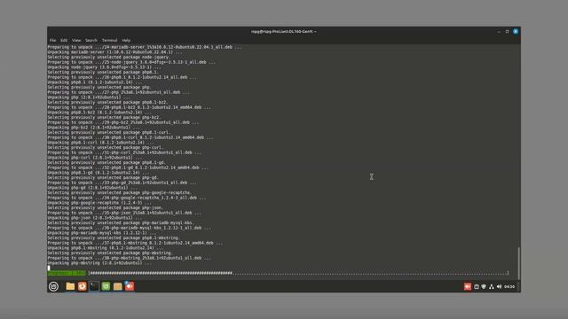 Cara Instalasi Server SIMKES Khanza Menggunakan Linux Mint 21.2 смотреть онлайн