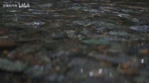 BYD FangChengBao | Leopard 5