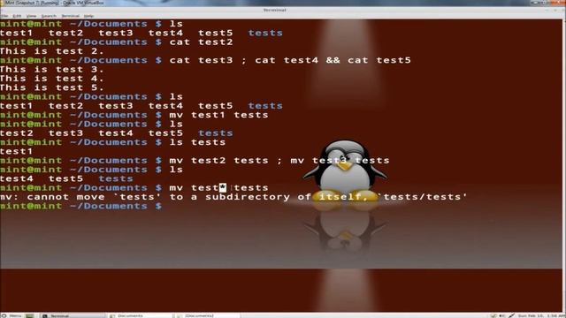 Linux Terminal Practice vid 2: File and Directory Management смотреть онлайн