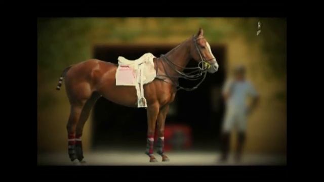 La Martina TV (programa piloto) смотреть онлайн