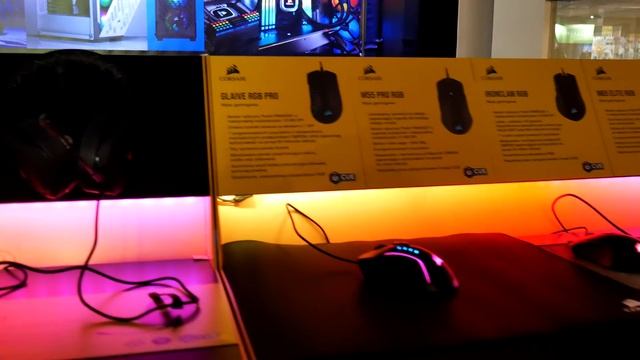 Vlog/relacja z PGA 2019 смотреть онлайн
