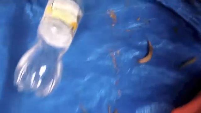 cde saab 1995 смотреть онлайн