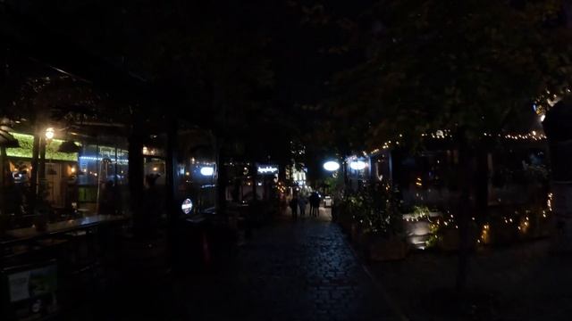 南ヨーロッパ セルビア ベオグラード 夜のクネズ ミハイロヴァ通りとスカダルリヤで夕食/Knez Mihailova Street and Skadarlija in Belgrade, Serbi смотреть онлайн
