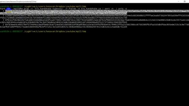 SSL/TLS Lecture Series - Episode 22 смотреть онлайн