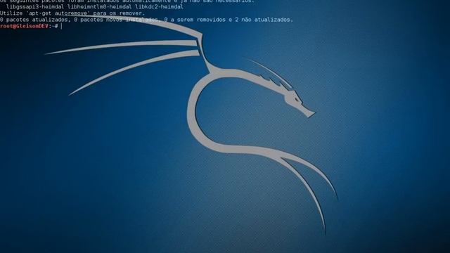 COMO INSTALAR FLASHPLAYER NO MEU KALILINUX E UBUNTU!!??? смотреть онлайн