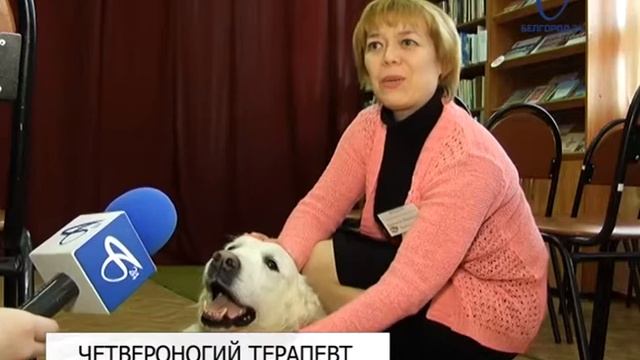 Проект «Четвероногий терапевт» реализуют в Белгороде