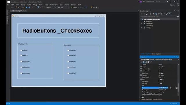 VISUAL BASIC (RadioButtons & CheckBoxes) смотреть онлайн