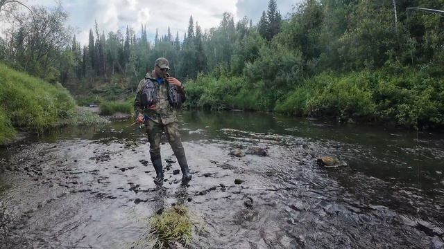 Сплав на пакрафтах с рыбалкой 2.08.24