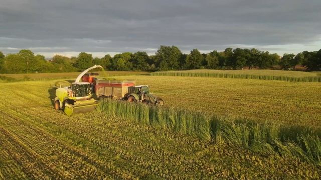 ENSILAGE DE METEIL 2023 // CLAAS JAGUAR 950 // FARMER IRL смотреть онлайн