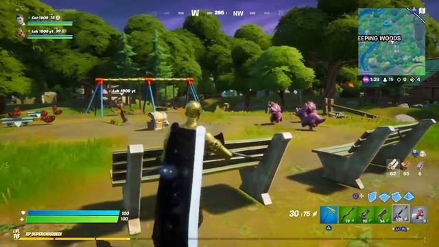 Fortnite win with my brother {Luk 1909} смотреть онлайн