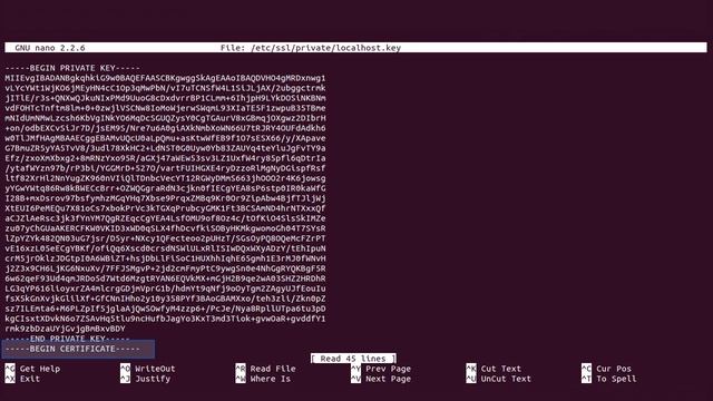 45-Ubuntu-server-apache-ssl смотреть онлайн