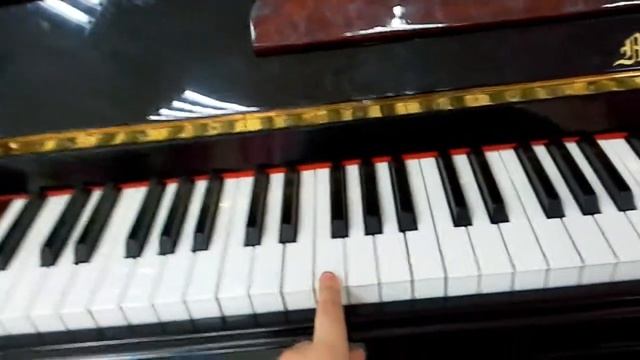 Пианино медведь идёт по лесу смотреть онлайн