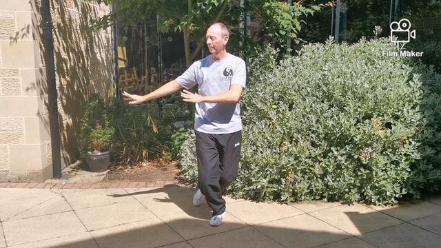 Health Qigong...Open the Window to look at the Moon (Tuichuang Wangyue) by Tai Chi Heaven and Earth смотреть онлайн