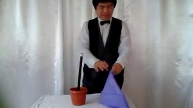 ws.magic - MAGIC WAND TO FLOWERS.mp4 смотреть онлайн