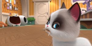 Корги по имени Моко. Домашние животные 2, 36 серия. У меня такая сила