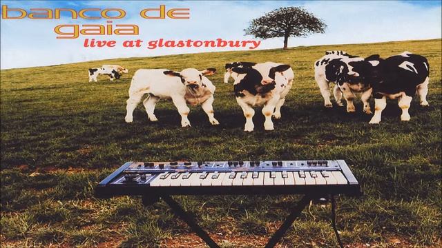 Banco De Gaia - Amber