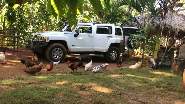 En mi Hummer 4/4 смотреть онлайн