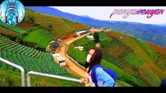 PANYAWEUYAN EXOTIS
