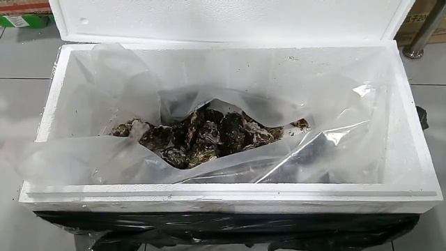 Сельхозрынок в районе Таганского ряда в Екатеринбурге смотреть онлайн