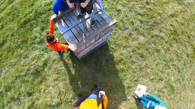 Apples, Trees, and Parkour смотреть онлайн