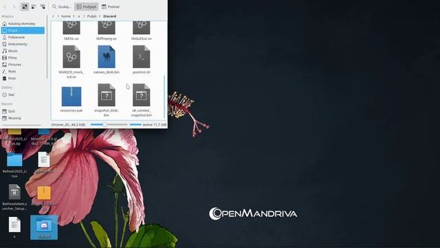 How to install/launch Discord on Linux OpenMandriva from tar.gz archive смотреть онлайн