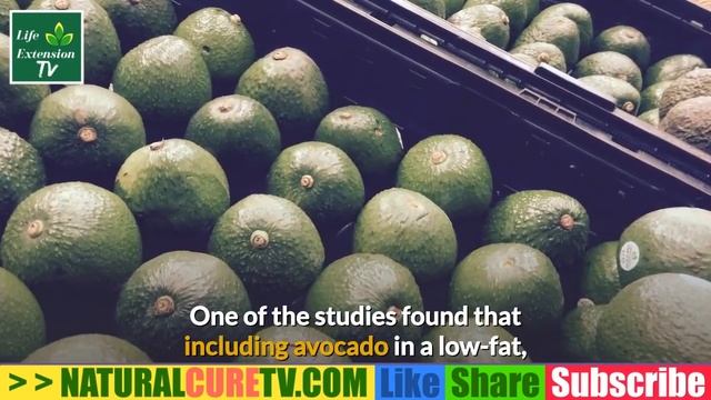 The Highest Dense Nutrient Fruit Elderlies Should Eat Everyday For Their Wellness смотреть онлайн