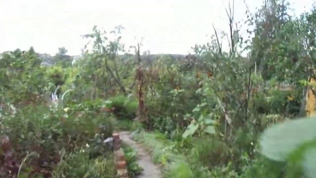 мой дом, ппц.