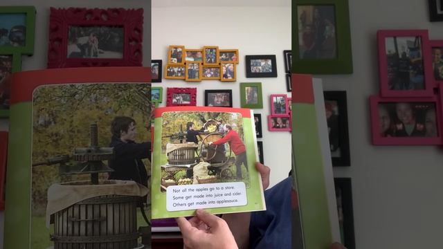 Apple Tree to Store Read Aloud смотреть онлайн