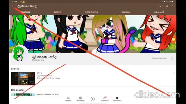 Cyberbullying of Mindori Dev YouTuber from Amarchik 126 Pedo смотреть онлайн