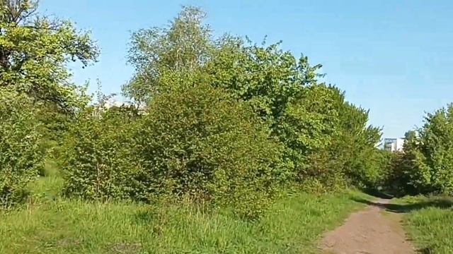 Харків Салтівка 12 травня 2023 року ДОБРОГО РАНКУ смотреть онлайн