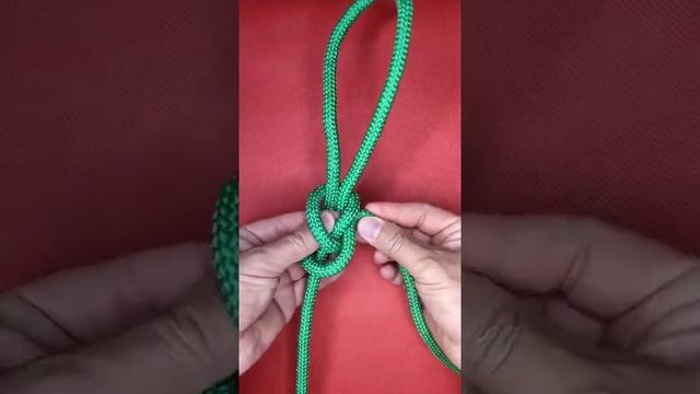 DIY Cute Cute in daily life Short Video смотреть онлайн