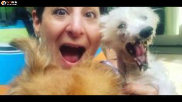Everyone Was Shocked to Learn Why This Pregnant Pit Bull Would Not Give Birth смотреть онлайн