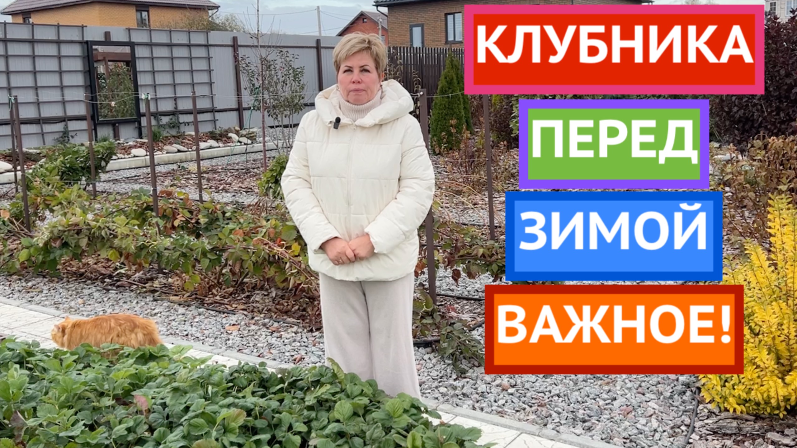 ОБЯЗАТЕЛЬНО СДЕЛАЙТЕ ЭТО С КЛУБНИКОЙ ПЕРЕД ЗИМОЙ! смотреть онлайн