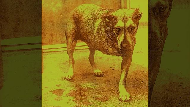 Sludge Factory смотреть онлайн