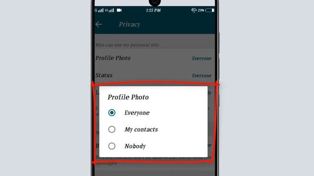 Botim Secret Privacy Settings