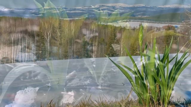 Вот это улов! сказал 75-летний дед рыбак, вытаскивая тяжелый сундук из реки. А открыв его онемел... смотреть онлайн