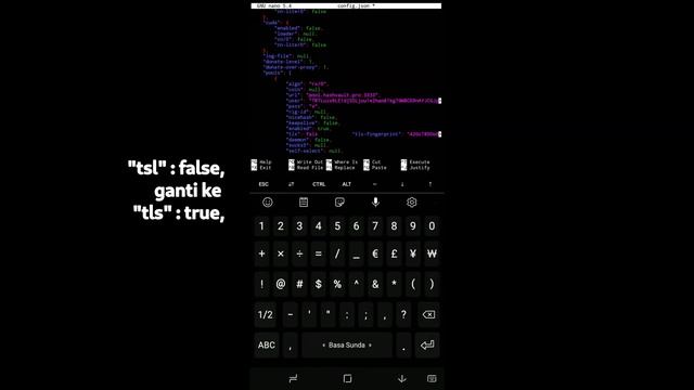 Cara Mining Crypto Coin Turtle XMR di Android Menggunakan Termux XMRIG HashVault Pool 100% Work! смотреть онлайн