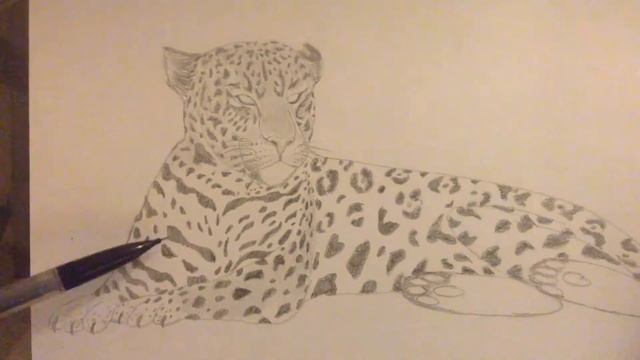Jaguar sketch time-lapse video смотреть онлайн