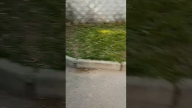 Хоп колпачок #москвич412 смотреть онлайн