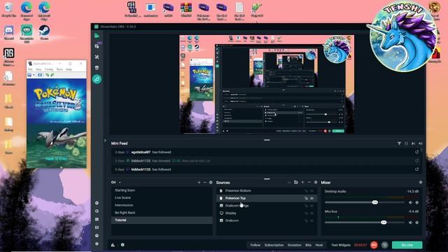 Tutorial | PKMN Two Screen Set Up | Streamlabs OBS смотреть онлайн