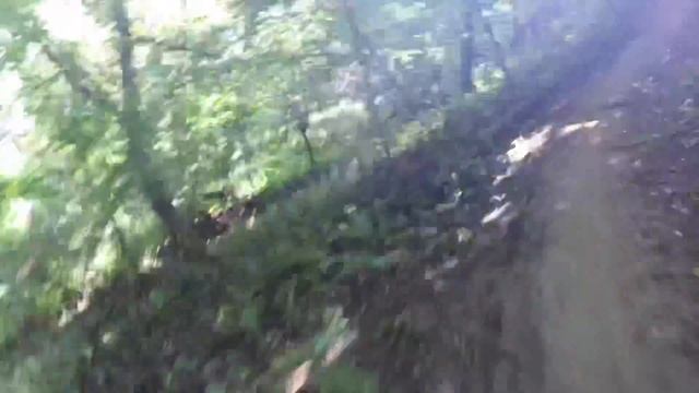Murphy Henrehan Single Track ShotGun Kids Seat смотреть онлайн