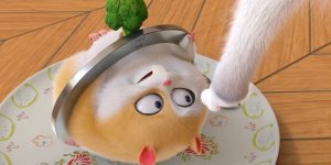 Корги по имени Моко. Домашние животные 2, 62 серия. Представление перед трапезой