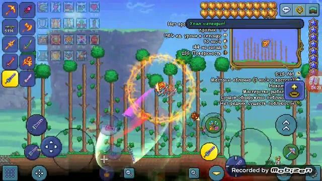 обзор на TL Pro