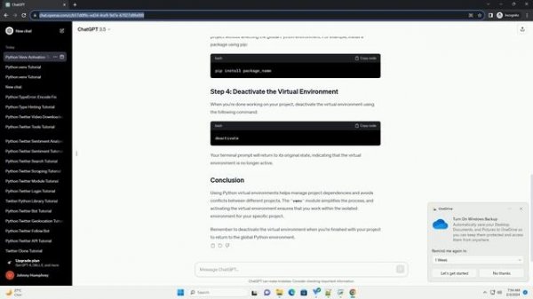 python venv bin activate