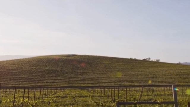 ŁĄKA Z WINDOWS XP W 2019/2020 смотреть онлайн