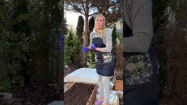 Посадка озимого чеснока смотреть онлайн