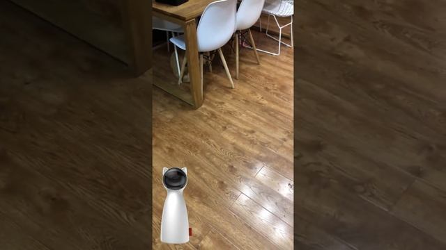 Automatic Cat Toys Interactive Smart Teasing Pet LED Laser Funny Handheld Mode Electronic Pet for A смотреть онлайн