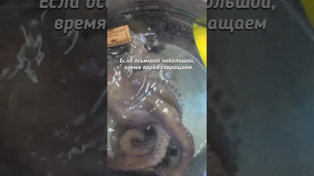 Осьминог очищенный смотреть онлайн